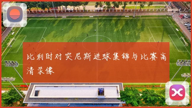 比利时对突尼斯进球集锦与比赛高清录像