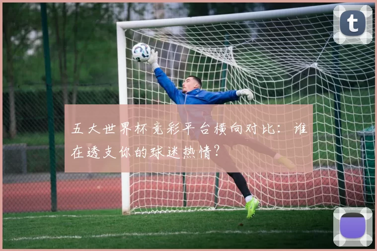 五大世界杯竞彩平台横向对比：谁在透支你的球迷热情？