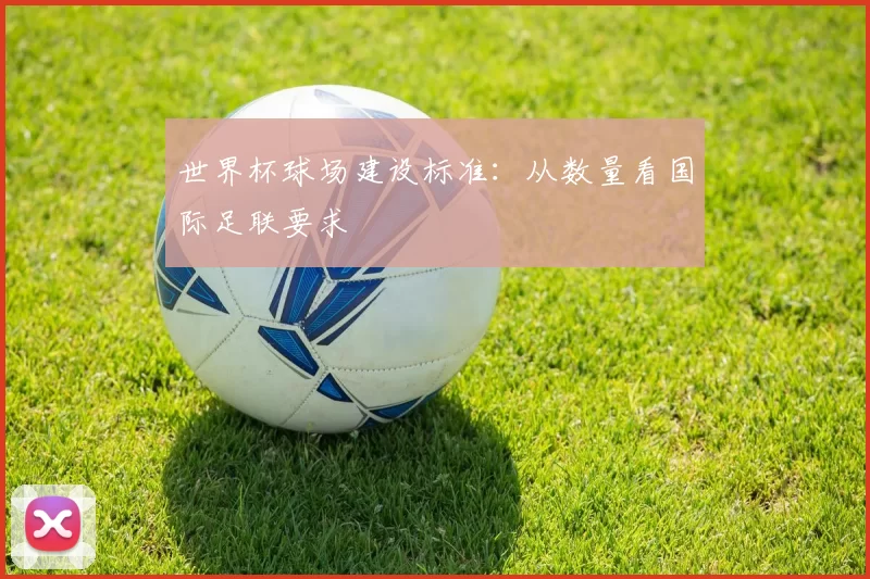 世界杯球场建设标准：从数量看国际足联要求