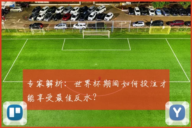 专家解析：世界杯期间如何投注才能享受最佳反水？