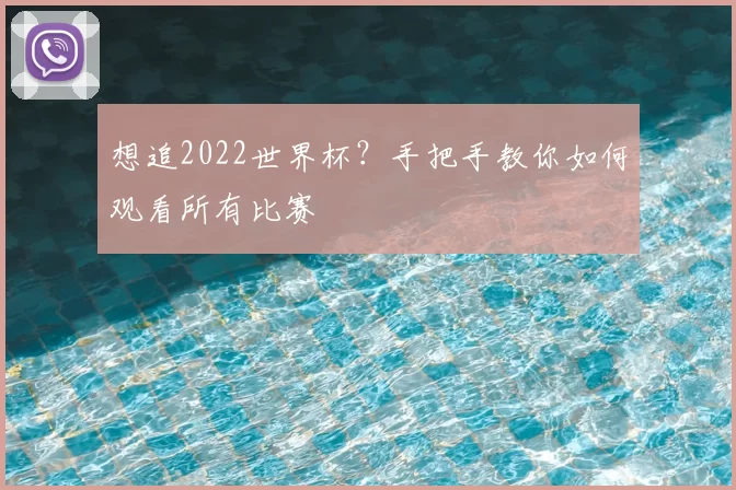 想追2022世界杯？手把手教你如何观看所有比赛