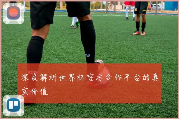 深度解析世界杯官方合作平台的真实价值