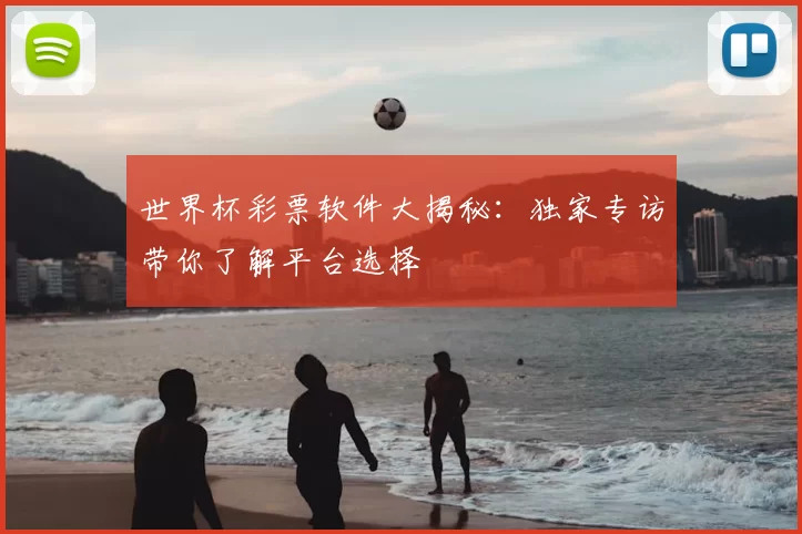 世界杯彩票软件大揭秘:独家专访带你了解平台选择
