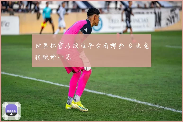 世界杯官方投注平台有哪些 合法竞猜软件一览