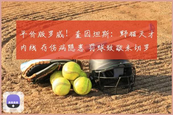 平价版罗威!奎因坦斯:野猫天才内线 存伤病隐患 罚球致敬米切罗