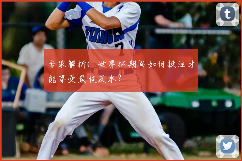 专家解析：世界杯期间如何投注才能享受最佳反水？