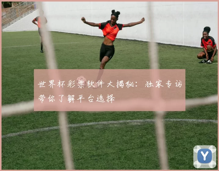 世界杯彩票软件大揭秘：独家专访带你了解平台选择