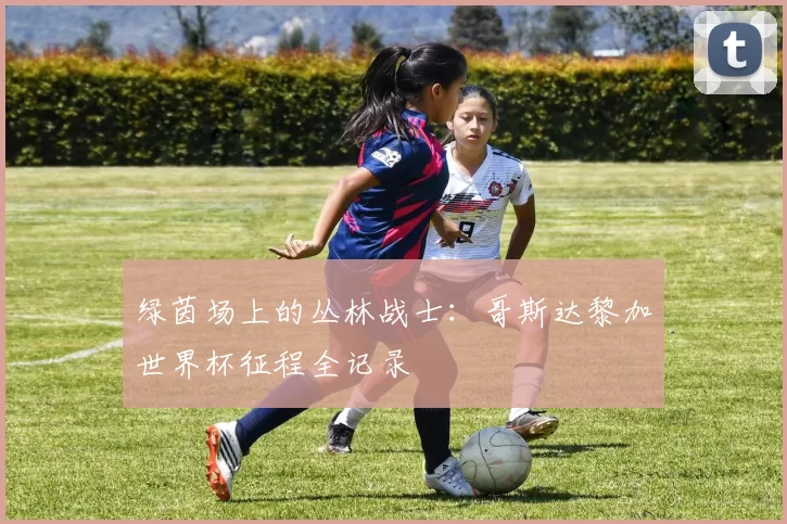 绿茵场上的丛林战士:哥斯达黎加世界杯征程全记录