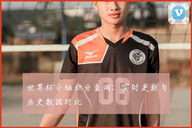 世界杯小组积分查询：实时更新与历史数据对比