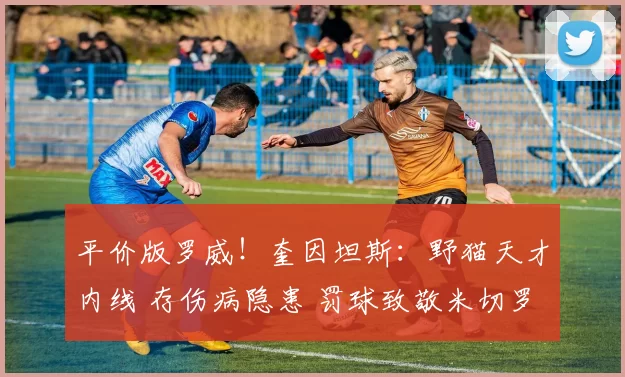 平价版罗威!奎因坦斯:野猫天才内线 存伤病隐患 罚球致敬米切罗
