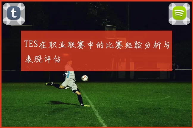 TES在职业联赛中的比赛经验分析与表现评估