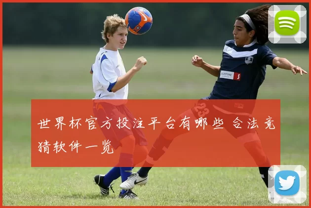 世界杯官方投注平台有哪些 合法竞猜软件一览